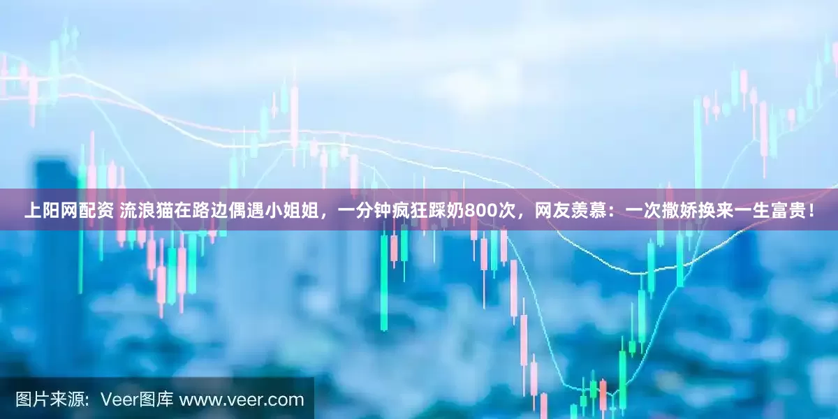 上阳网配资 流浪猫在路边偶遇小姐姐，一分钟疯狂踩奶800次，网友羡慕：一次撒娇换来一生富贵！